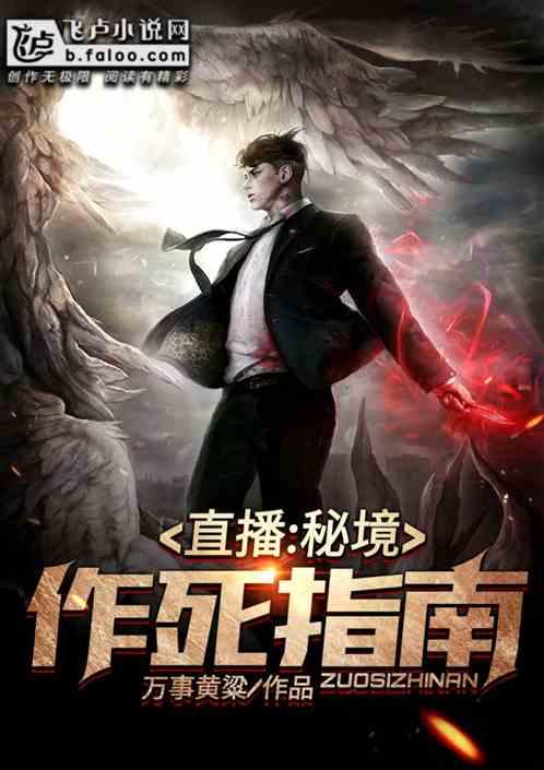 哥特舰队
