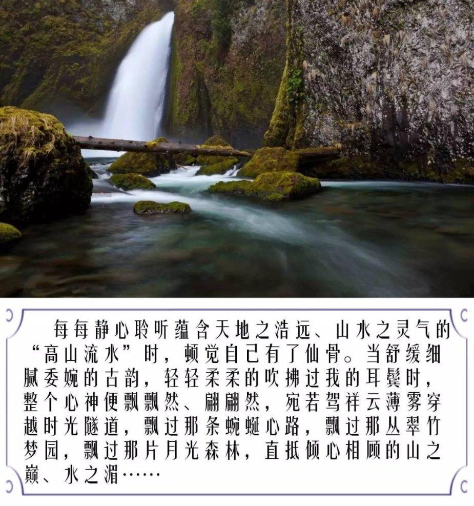 迷你淘气猪逃脱